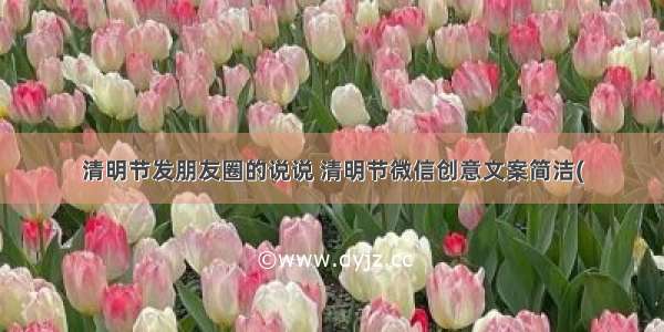 清明节发朋友圈的说说 清明节微信创意文案简洁(