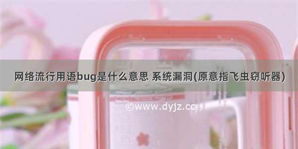 网络流行用语bug是什么意思 系统漏洞(原意指飞虫窃听器)