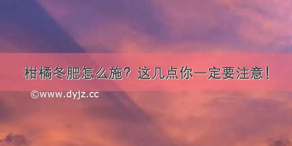 柑橘冬肥怎么施？这几点你一定要注意！