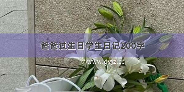 爸爸过生日学生日记200字