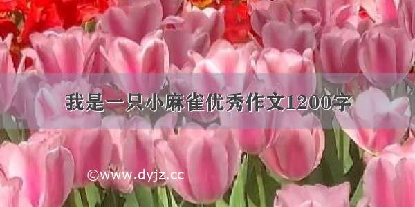 我是一只小麻雀优秀作文1200字