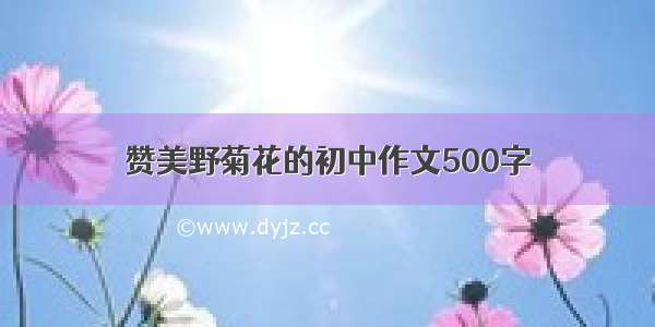 赞美野菊花的初中作文500字