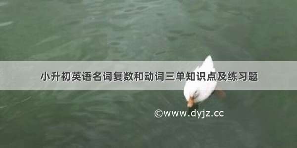 小升初英语名词复数和动词三单知识点及练习题