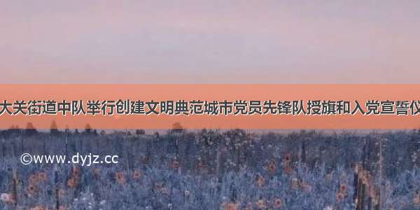 八大关街道中队举行创建文明典范城市党员先锋队授旗和入党宣誓仪式