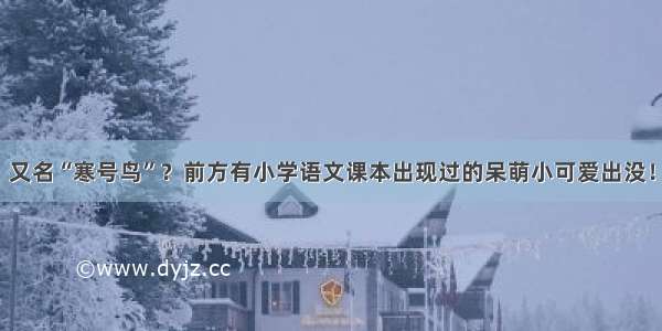 又名“寒号鸟”？前方有小学语文课本出现过的呆萌小可爱出没！