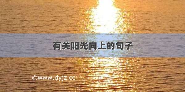 有关阳光向上的句子