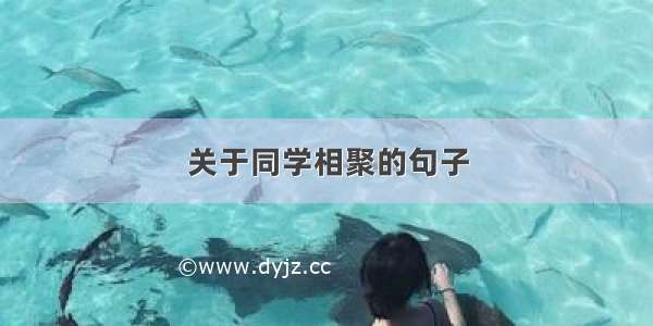 关于同学相聚的句子