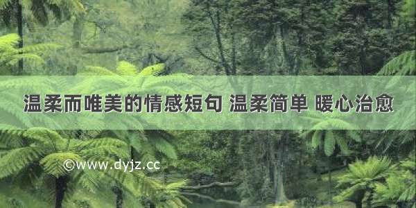 温柔而唯美的情感短句 温柔简单 暖心治愈