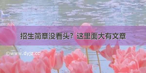 招生简章没看头？这里面大有文章