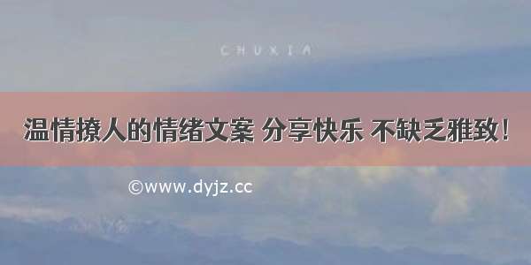 温情撩人的情绪文案 分享快乐 不缺乏雅致！