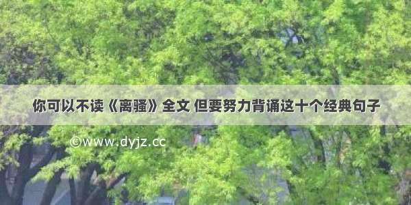 你可以不读《离骚》全文 但要努力背诵这十个经典句子