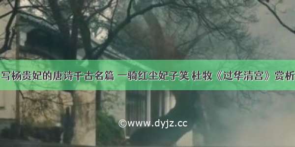 写杨贵妃的唐诗千古名篇 一骑红尘妃子笑 杜牧《过华清宫》赏析