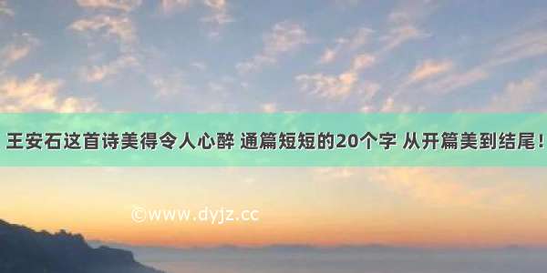 王安石这首诗美得令人心醉 通篇短短的20个字 从开篇美到结尾！