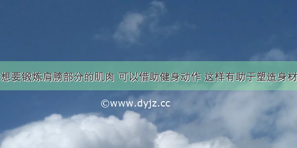 想要锻炼肩膀部分的肌肉 可以借助健身动作 这样有助于塑造身材