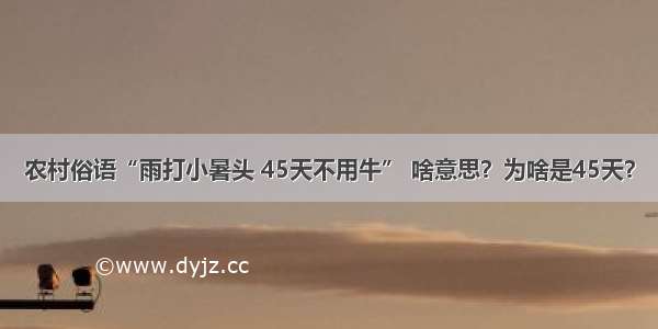 农村俗语“雨打小暑头 45天不用牛” 啥意思？为啥是45天？