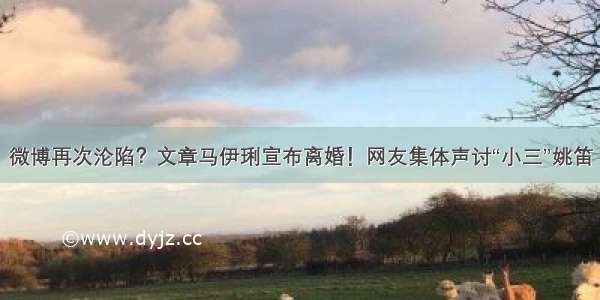 微博再次沦陷？文章马伊琍宣布离婚！网友集体声讨“小三”姚笛