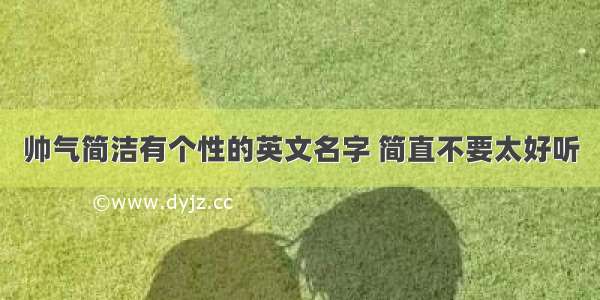 帅气简洁有个性的英文名字 简直不要太好听