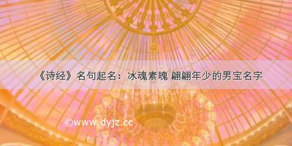 《诗经》名句起名：冰魂素魄 翩翩年少的男宝名字