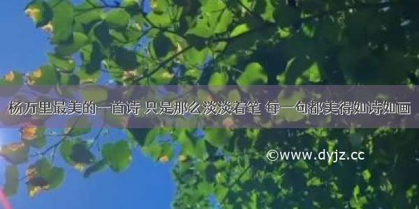 杨万里最美的一首诗 只是那么淡淡着笔 每一句都美得如诗如画