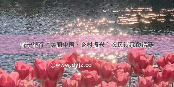 咸宁举行“美丽中国·乡村振兴”农民诗歌邀请赛