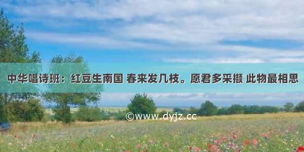 中华唱诗班：红豆生南国 春来发几枝。愿君多采撷 此物最相思