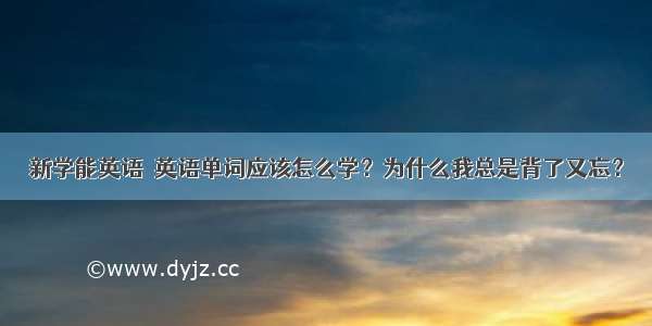 新学能英语｜英语单词应该怎么学？为什么我总是背了又忘？