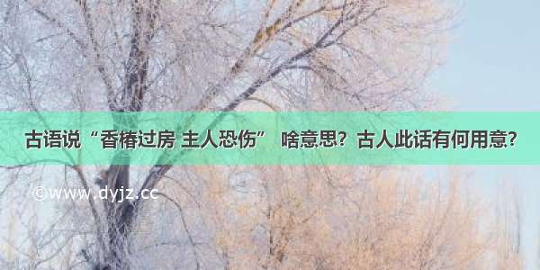 古语说“香椿过房 主人恐伤” 啥意思？古人此话有何用意？