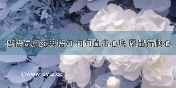 感悟春运经典语句 句句直击心底 愿出行顺心