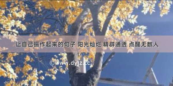 让自己振作起来的句子 阳光灿烂 精辟通透 点醒无数人