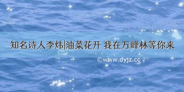 知名诗人李炜|油菜花开 我在万峰林等你来