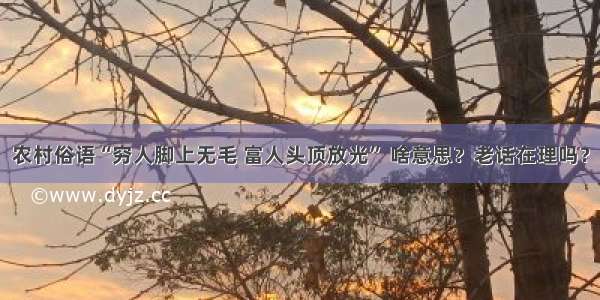 农村俗语“穷人脚上无毛 富人头顶放光” 啥意思？老话在理吗？