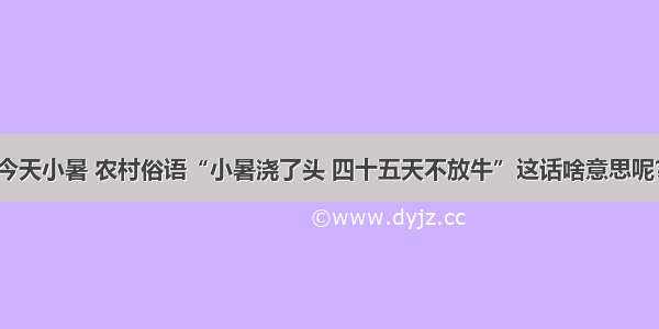 今天小暑 农村俗语“小暑浇了头 四十五天不放牛”这话啥意思呢？