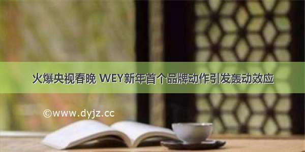 火爆央视春晚 WEY新年首个品牌动作引发轰动效应