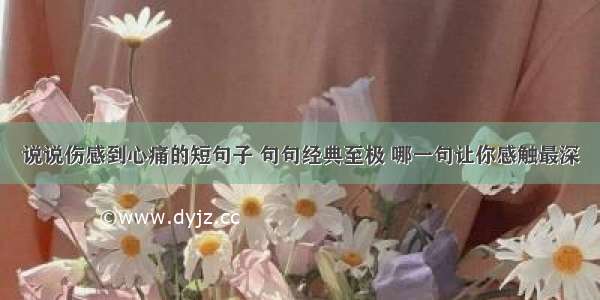 说说伤感到心痛的短句子 句句经典至极 哪一句让你感触最深