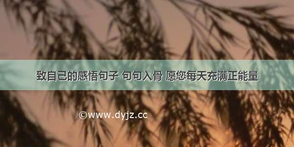 致自己的感悟句子 句句入骨 愿您每天充满正能量