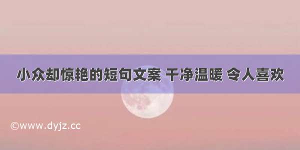 小众却惊艳的短句文案 干净温暖 令人喜欢