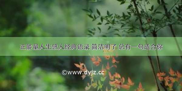 正能量人生感人经典语录 简洁明了 总有一句适合你