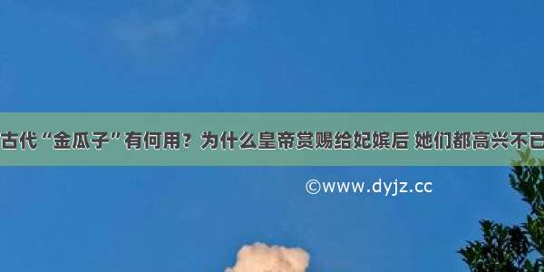 古代“金瓜子”有何用？为什么皇帝赏赐给妃嫔后 她们都高兴不已