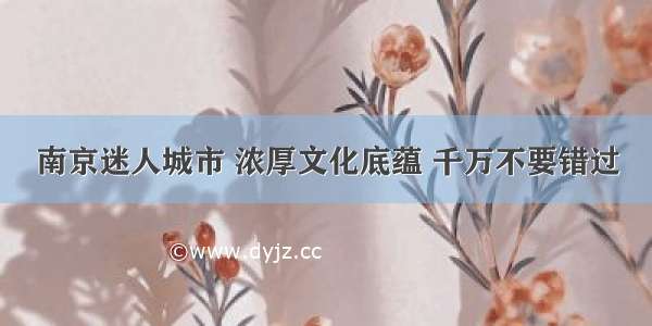 南京迷人城市 浓厚文化底蕴 千万不要错过