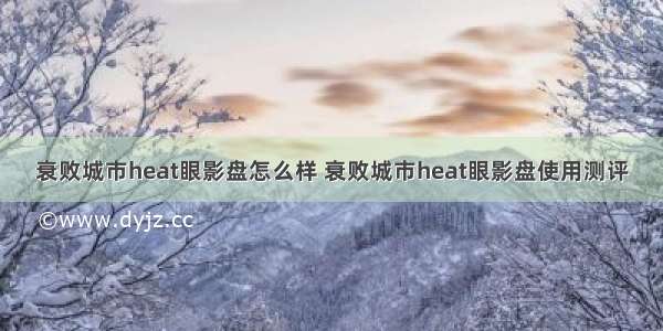 衰败城市heat眼影盘怎么样 衰败城市heat眼影盘使用测评