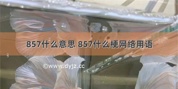 857什么意思 857什么梗网络用语