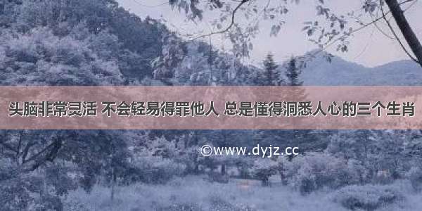 头脑非常灵活 不会轻易得罪他人 总是懂得洞悉人心的三个生肖