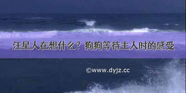 汪星人在想什么？狗狗等待主人时的感受