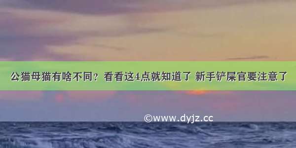 公猫母猫有啥不同？看看这4点就知道了 新手铲屎官要注意了