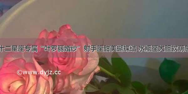 十二星座专属“叶罗丽婚纱”射手座甜美蝴蝶结 水瓶座大胆软萌感