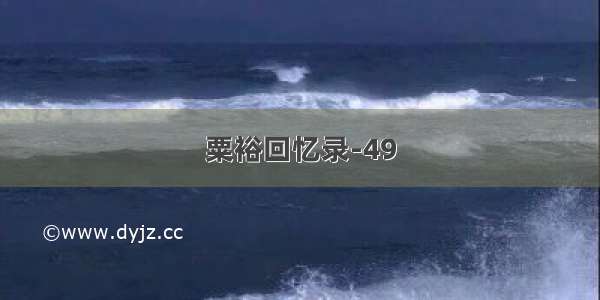 粟裕回忆录-49