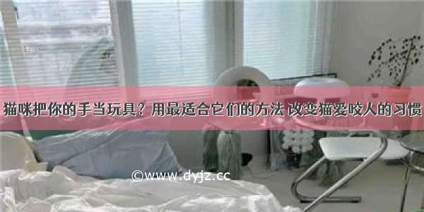 猫咪把你的手当玩具？用最适合它们的方法 改变猫爱咬人的习惯