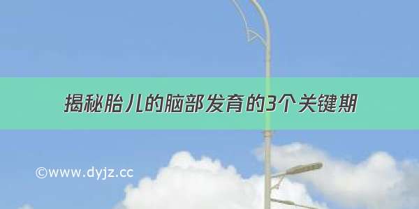 揭秘胎儿的脑部发育的3个关键期