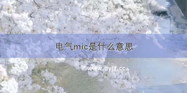 电气mic是什么意思