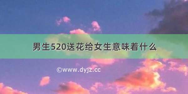 男生520送花给女生意味着什么